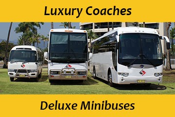 Bus Hire - Coach Charters