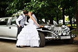 Wedding Transfers